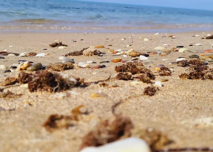 Mileniko * Sozópolis